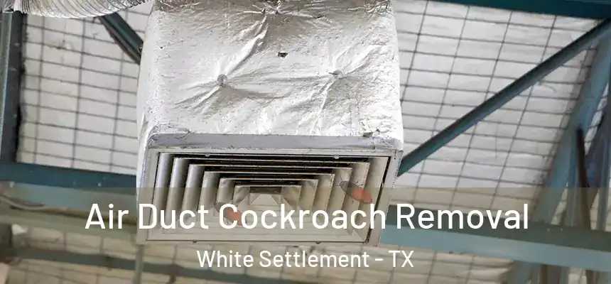  Air Duct Cockroach Removal White Settlement - TX