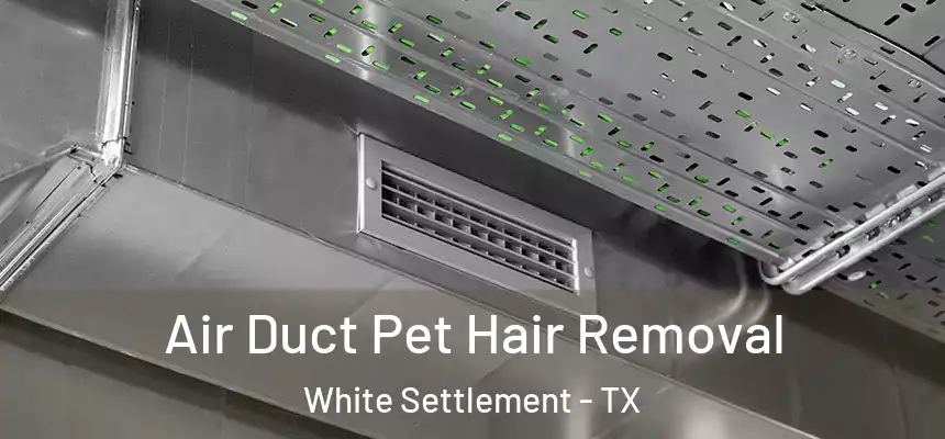 Air Duct Pet Hair Removal White Settlement - TX