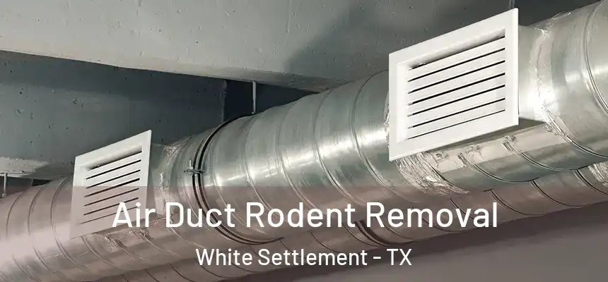 Air Duct Rodent Removal White Settlement - TX