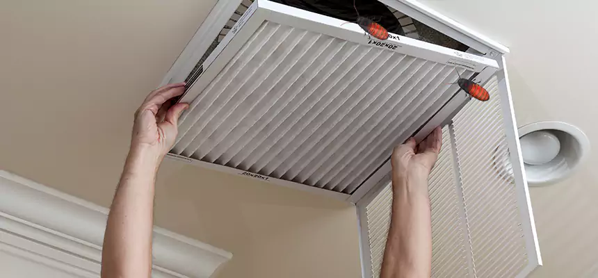 Preventive Cockroach-Proofing for Ducts in White Settlement