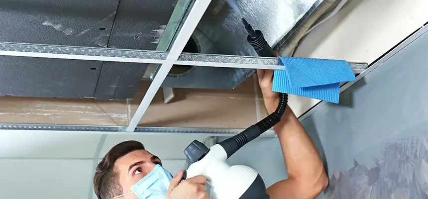 Our Air Duct Rodent Removal Services in White Settlement, TX