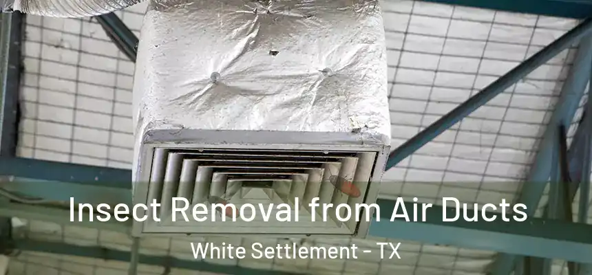 Insect Removal from Air Ducts White Settlement - TX