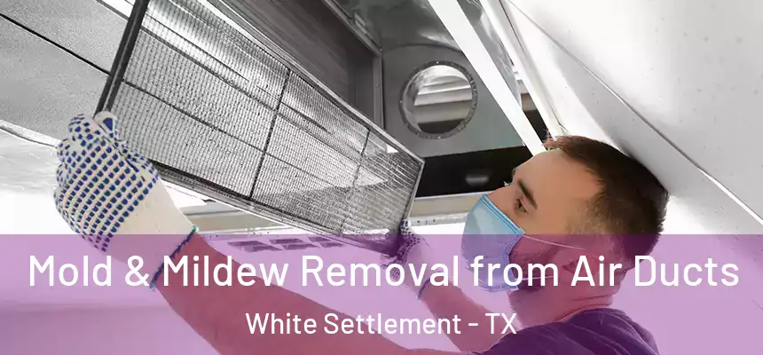 Mold & Mildew Removal from Air Ducts White Settlement - TX