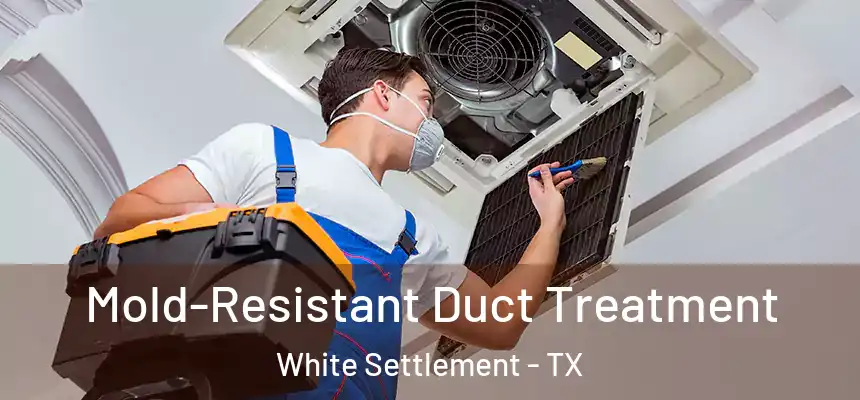 Mold-Resistant Duct Treatment White Settlement - TX