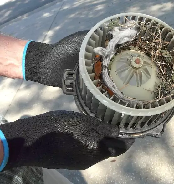 About Air Duct Rat Removal in White Settlement, TX