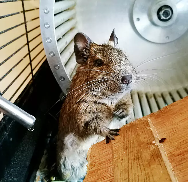 Why Homeowners & Businesses Trust Us White Settlement, TX